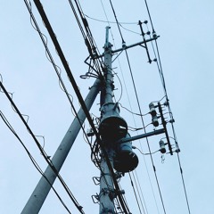 本当