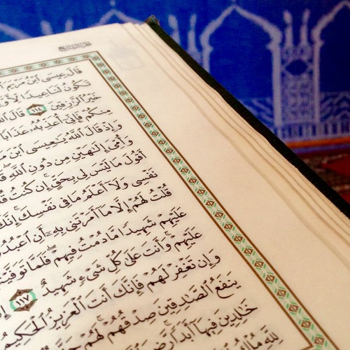 مدارج التدبر: الحلقة الثانية