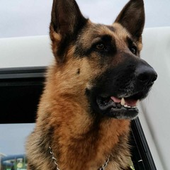 dillon