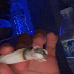 gRimeynigga