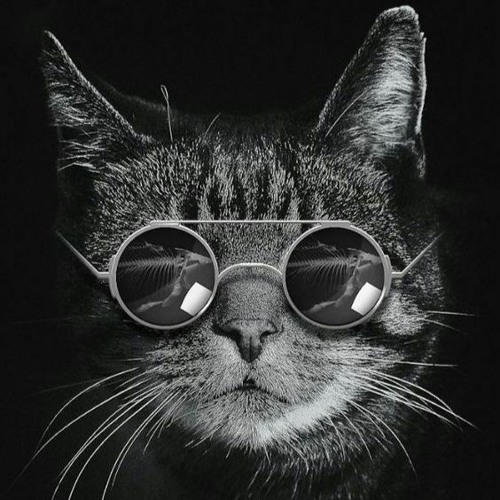 Quyền yếu đuối - Masked Singer (Bản nữ cover)