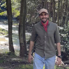 mahdi mansouri