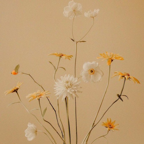 Aransemen Hey Yamko Rambe Yamko Latihan Padus Suara Pelatih Padus By Aissgreyz