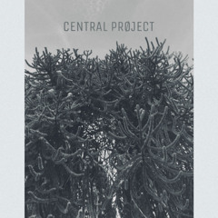 Central Prøject