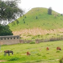 تور باري إمبراطور الفن السوداني