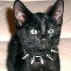 mewww
