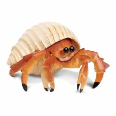 hermit crab :)