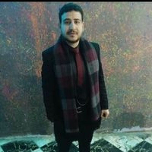 Mahmoud Mahros’s avatar