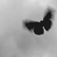 cupid ✰ (@heycxpid)