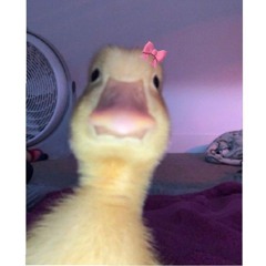Fatimaaa