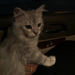 Misho