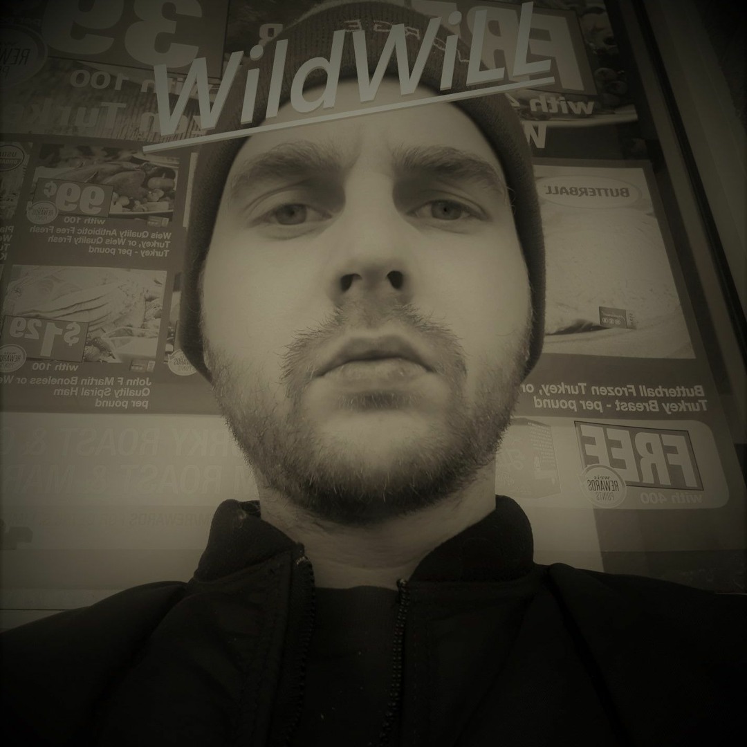 Stream WildWiLL music | Listen to songs, albums, playlists for