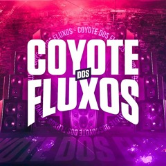 COYOTE DOS FLUXOS