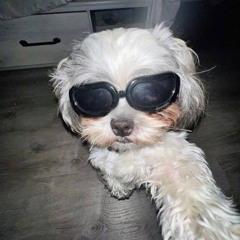 viirko