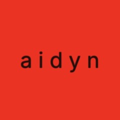 a i d y n