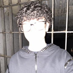 hvenboycodi