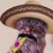 fettuccinedude77