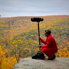 Ricardo Iamuuri Robinson