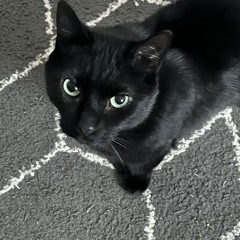 phil