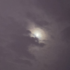 im lost in my own mind