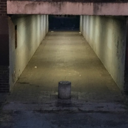 Meat Raffle Pops New Noo Nu FINALffFINAL DEMO MIX