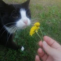<3