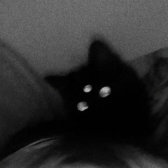 T҉H҉E҉ B҉L҉V҉C҉K҉ C҉V҉T҉