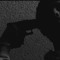 chasingr3en
