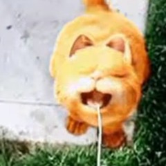 hi