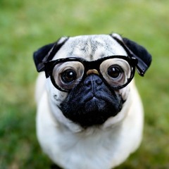 мойша герштейн 17000