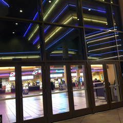 shescollateraldamage