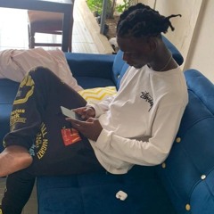 2ZED_LA_STEU11