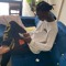 2ZED_LA_STEU11