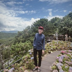 N Chi Hoang