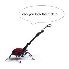 jsxh