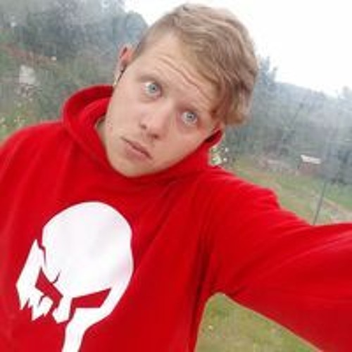 Ladislav King’s avatar