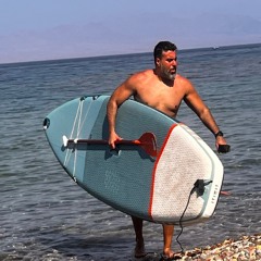 Martin Gerges Wanis