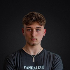 Vandalize