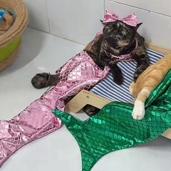 Amy