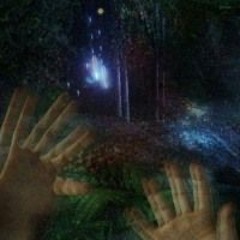 caughtinadream