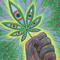 𝕹𝖔𝖑𝖑𝖎𝖊 𝖋𝖑𝖎𝖕420
