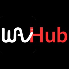 WAVHub Studios