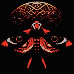 Moth