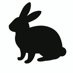 blackrabbit