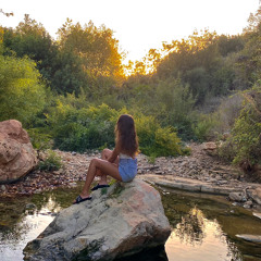 Shai Barshishat