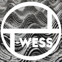 T-wessmusic
