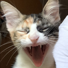 Carolinda