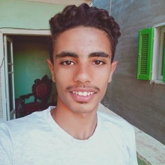 Ziad Ashraf