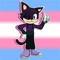 CoolGamma The Cat 569