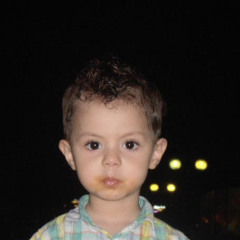 Alaa Najib
